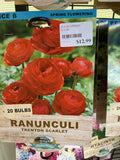 BULBS SPRING $12.99