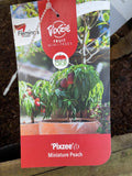 PEACH TRIXIE® PIXZEE BARE ROOT