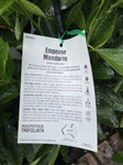 MANDARIN EMPORER 5LTR