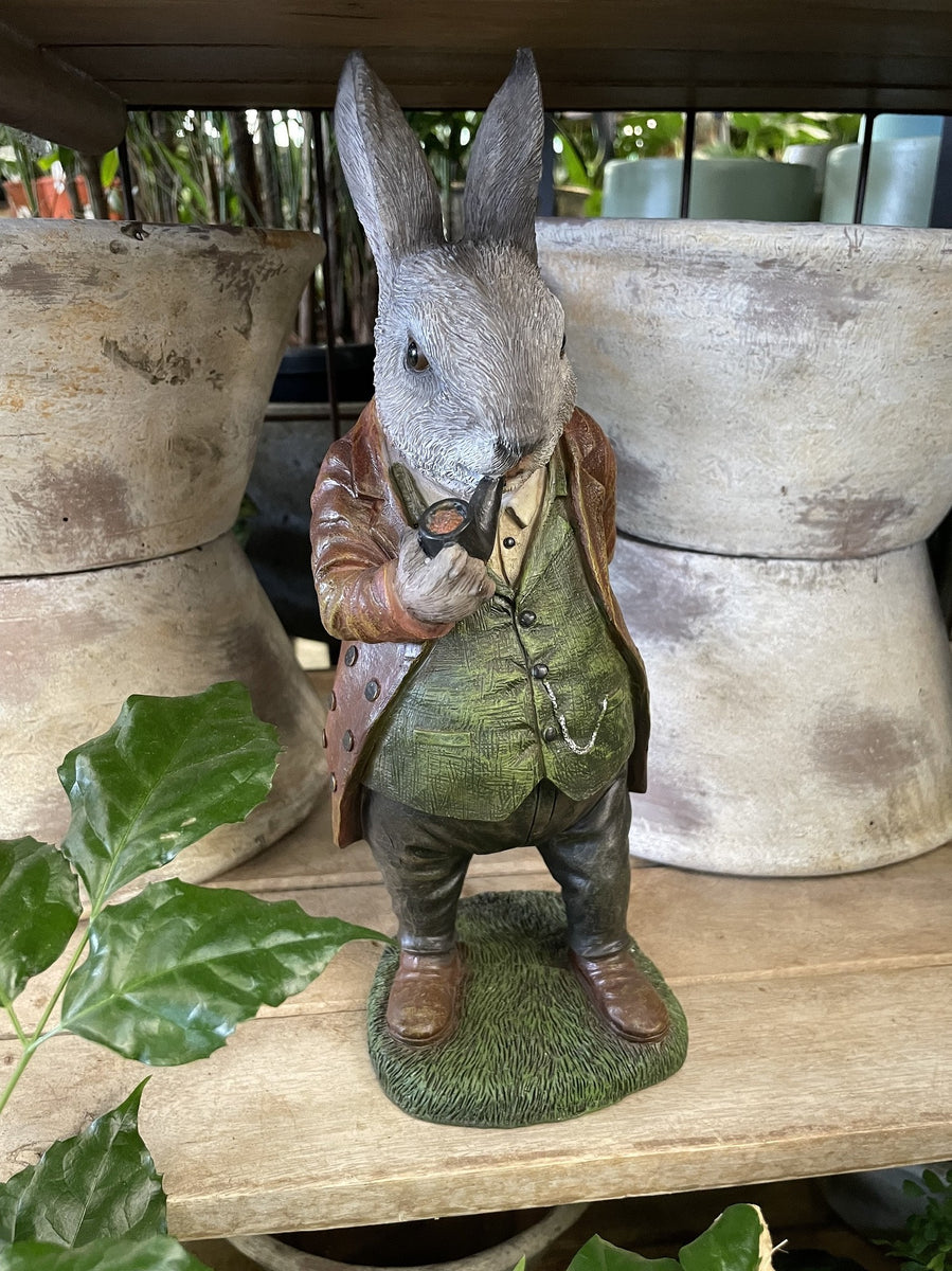 AG WILLOW RABBIT – Poyntons Nursery