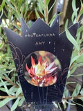 LEUCADENDRON AMY 18CM