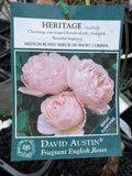 ROSE STANDARD HERITAGE 3FT BARE ROOT