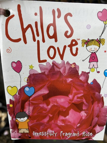 ROSA STANDARD CHILD'S LOVE 3FT 20CM
