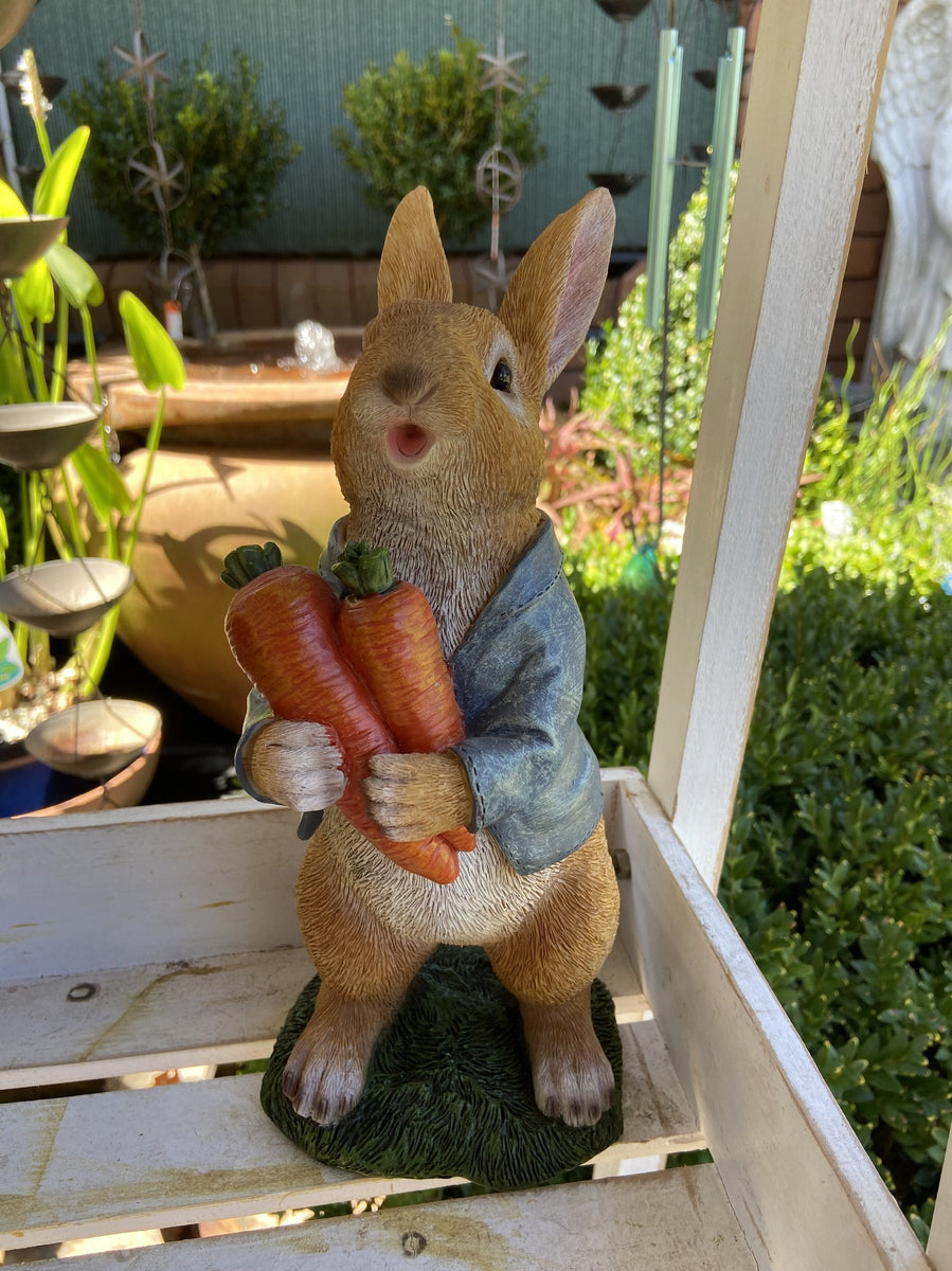 AG WILLOW YOUNG RABBIT – Poyntons Nursery