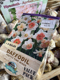 BULBS SPRING $22.99