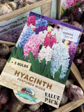 BULBS SPRING $22.99