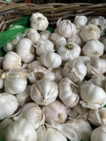 AUSTRALIAN GARLIC BULB 