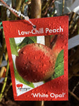 PEACH DWARF WHITE OPAL BARE ROOT 