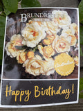 ROSE STANDARD HAPPY BIRTHDAY 3FT BARE ROOT