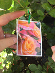 ROSE STANDARD 3FT DAYBREAKER 20CM 