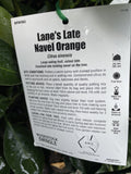 ORANGE LANES LATE NAVEL 5.2LTR