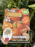 MANDARIN IMPERIAL 5.2LTR