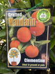 MANDARIN CLEMENTINE 5.2LTR