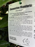 MANDARIN CLEMENTINE 5.2LTR