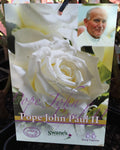 ROSA STANDARD POPE JOHN PAUL 3FT