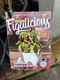 FIG FICUS CARICA FIGALICIOUS 25CM 