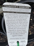 GRAPE THOMPSON SEEDLESS BARE ROOT