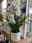 CYMBIDIUM SLIM POT WHITE/CREAM 60X60X86CM