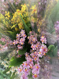 ONCIDIUM TWINKLE ORCHID ASSORTED