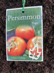 PERSIMMON FUYU 18CM