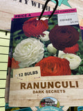 BULBS SPRING $9.99