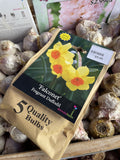 BULBS SPRING $9.99