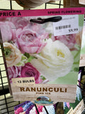 BULBS SPRING $9.99
