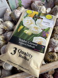 BULBS SPRING $9.99