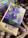 BULBS SPRING $9.99
