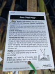 ROSE STANDARD FIRST PRIZE 3FT BARE ROOT 