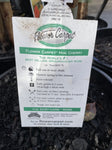 ROSA STANDARD FLOWER CARPET CHERRY 3FT BARE ROOT