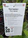 PLUM X APRICOT INTERSPECIFIC FLAVOR SUPREME BARE ROOT 
