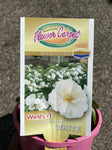 ROSA STANDARD FLOWER CARPET WHITE 3FT 20CM