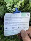 POLEMONIUM BLUE DOVE 14CM 