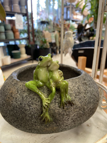 FROGGY LOVERS ON POT 