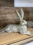 RESTING HARE