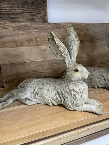 RESTING HARE