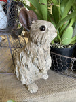 LARGE STANDING WOODLAND RABBIT