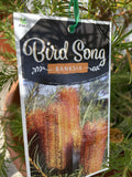 BANKSIA BIRD SONG 33CM