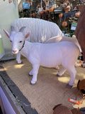 LARGE GOAT
