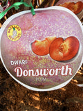 PLUM DWARF DONSWORTH BARE ROOT