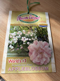 ROSE FLOWER CARPET APPLE BLOSSOM WEEPER 6FT BARE ROOT 