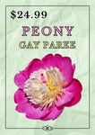 PEONY GAY PAREE BARE ROOT 