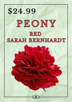 PAEONY RED SARAH BERNHARDT BARE ROOT