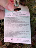 GREVILLEA WENDY'S SUNSHINE 20CM