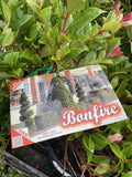 SYZYGIUM AUSTRALE BONFIRE 20CM