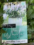 PLECTRANTHUS MONA® WHITE 20CM