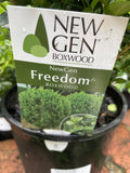 BUXUS NEWGEN FREEDOM 18CM