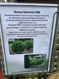 BUXUS NEWGEN FREEDOM 18CM