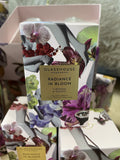 GLASSHOUSE 60G CANDLE RADIANCE IN BLOOM